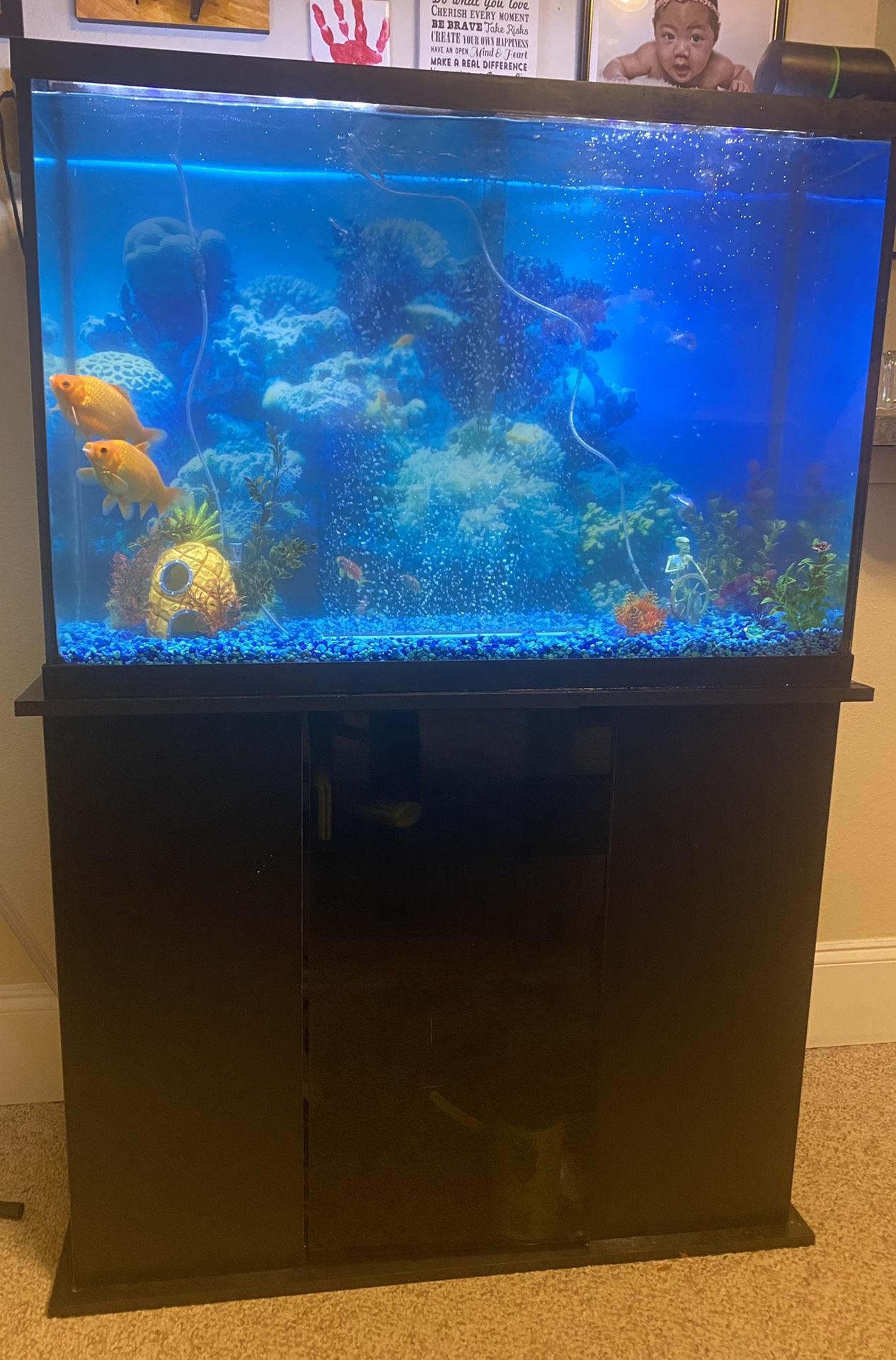 45 Gallon Fish Tank, Stand And Accessories