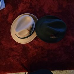 Beige And Dark Brown Fedora 