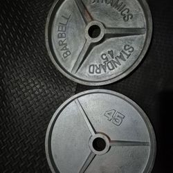 45lbs Weights 