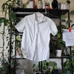 Mens Shirt 