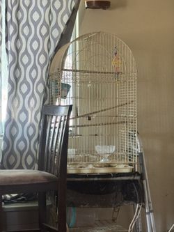 Bird cage