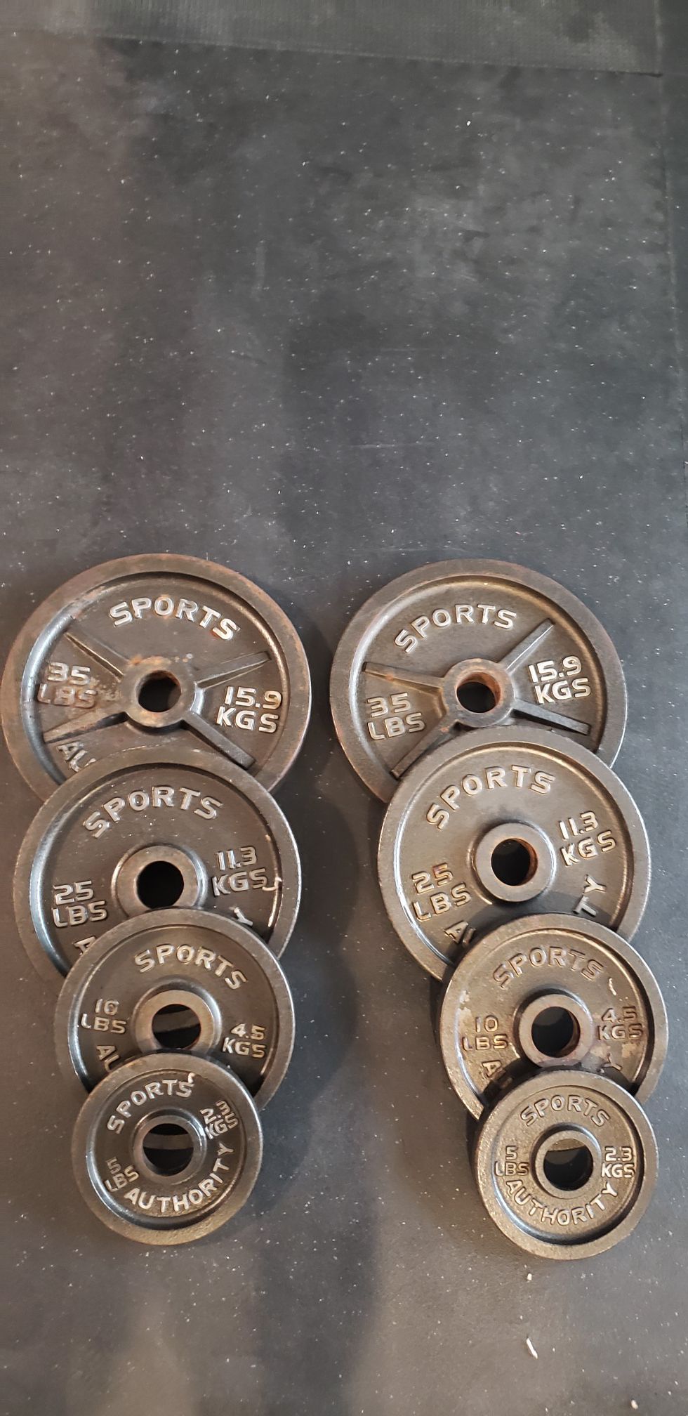 240 Lbs sports authority Weights