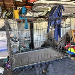Dog Cage 30x21 inches  