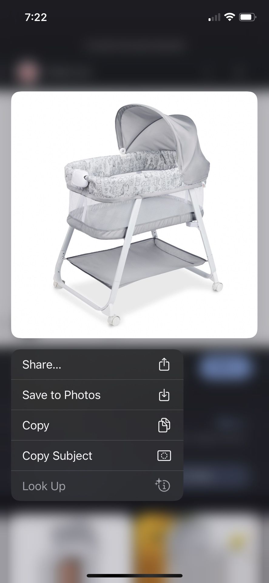 Winnie The Pooh bassinet