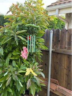 Wind Chime For Sale