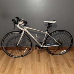 Silver Trek Bike 
