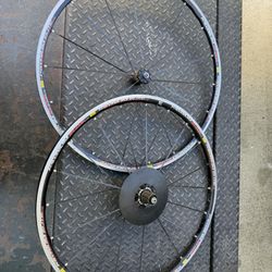 Mavic Rims 