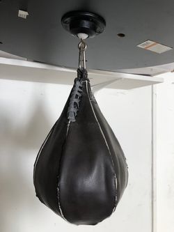 Everlast Dual station ,punching bag/speed bag MMA fitness and training Gym