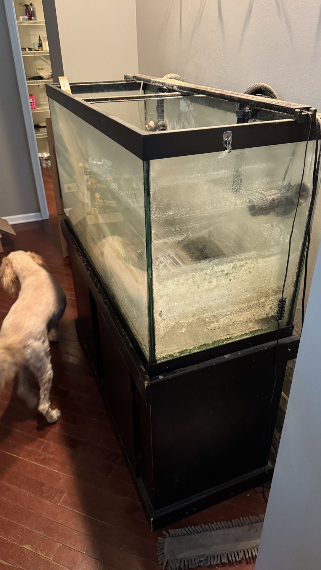 90 Gal Fresh Water Tank With Fx4 Pump!