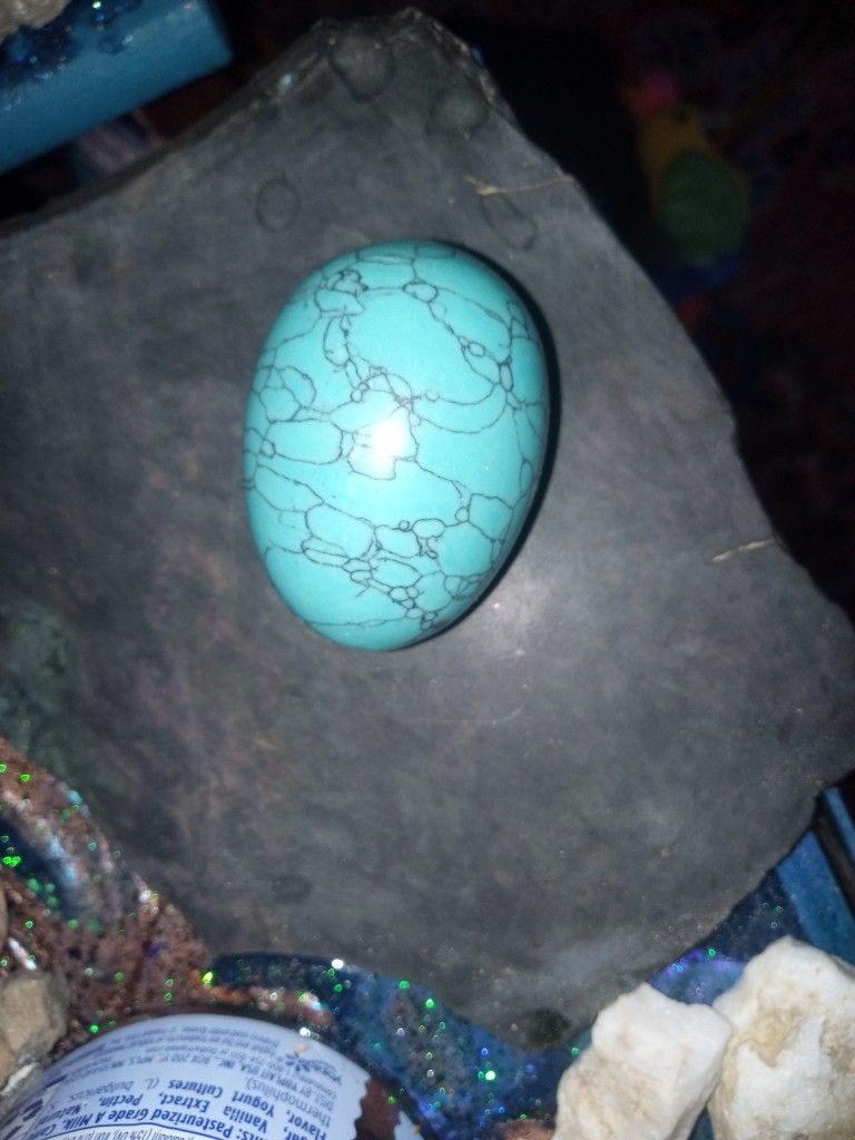 Blue/Green Turquoise Polished Egg