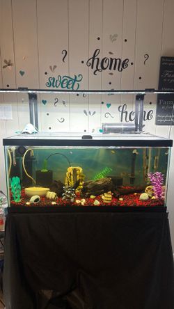 Fish tank