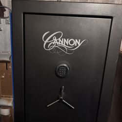 Cannon Gun Safe