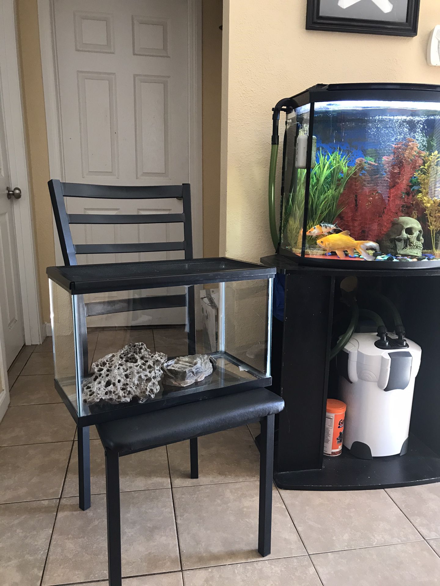 10 gallon fish tank or reptile tank