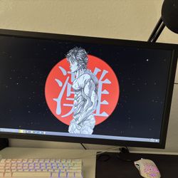 benq gaming monitor 144hz ( Zowie XL2411K)