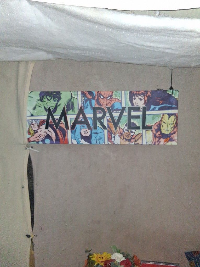 Marvel Canvas