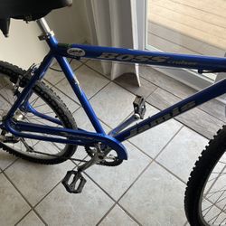 REDUCE PRICE Adult Male Bike 