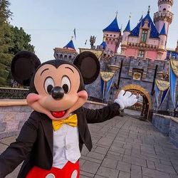 Disneyland or Disney California adventure 