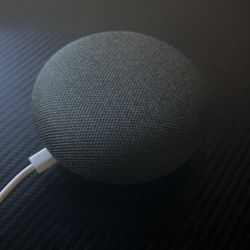 Google Nest (works Like Alexa)