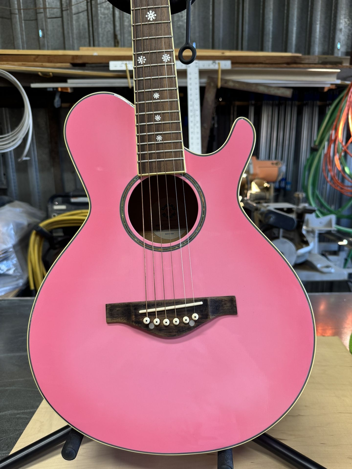 Daisy Rock Guitar-Ideal For Young Musicians 