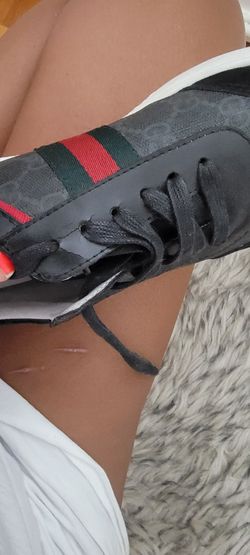 Gucci Sneakers Authentic