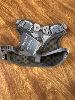 Dog Harness!