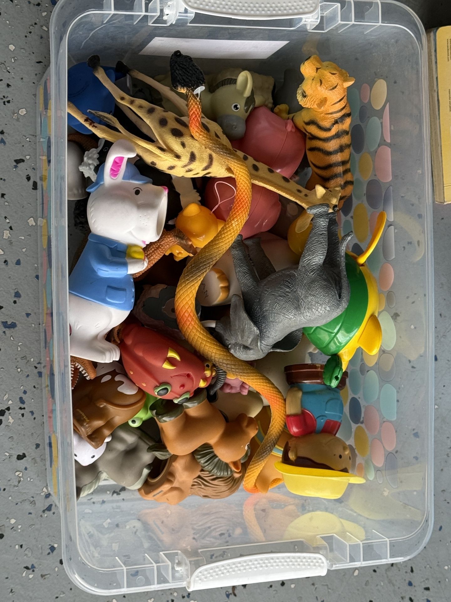 Animals