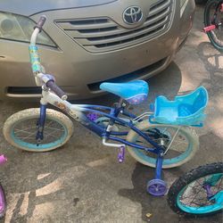 Frozen Bike