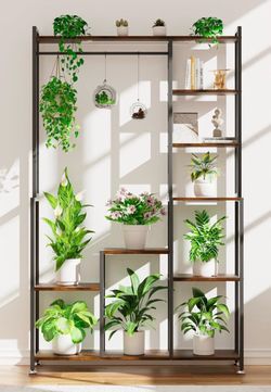 Plant Shelves with Grow Lights