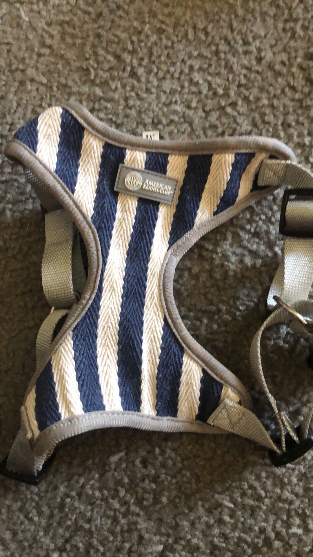 Medium Dog Harness $10