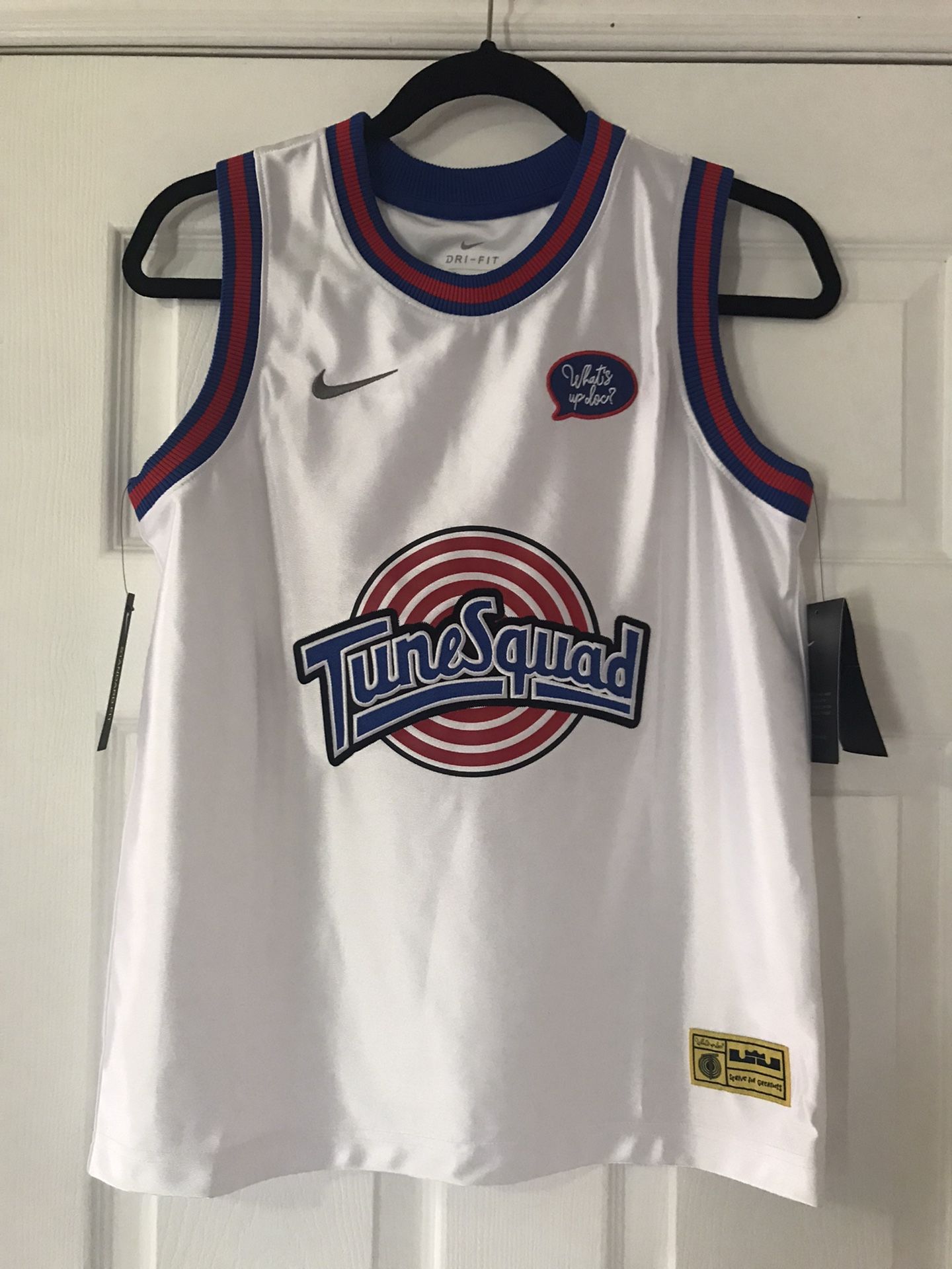 Lebron James Tune Squad Jersey