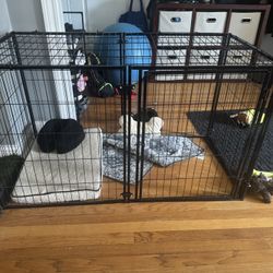 Doggie Cage