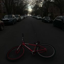 45th anniversary big ripper 29inch