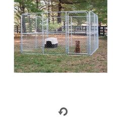 Dog Kennel 