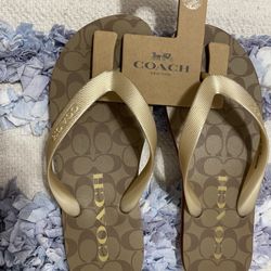 Coach Flip Flop