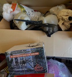 59" Giant Halloween Spider & 200" Spider Web