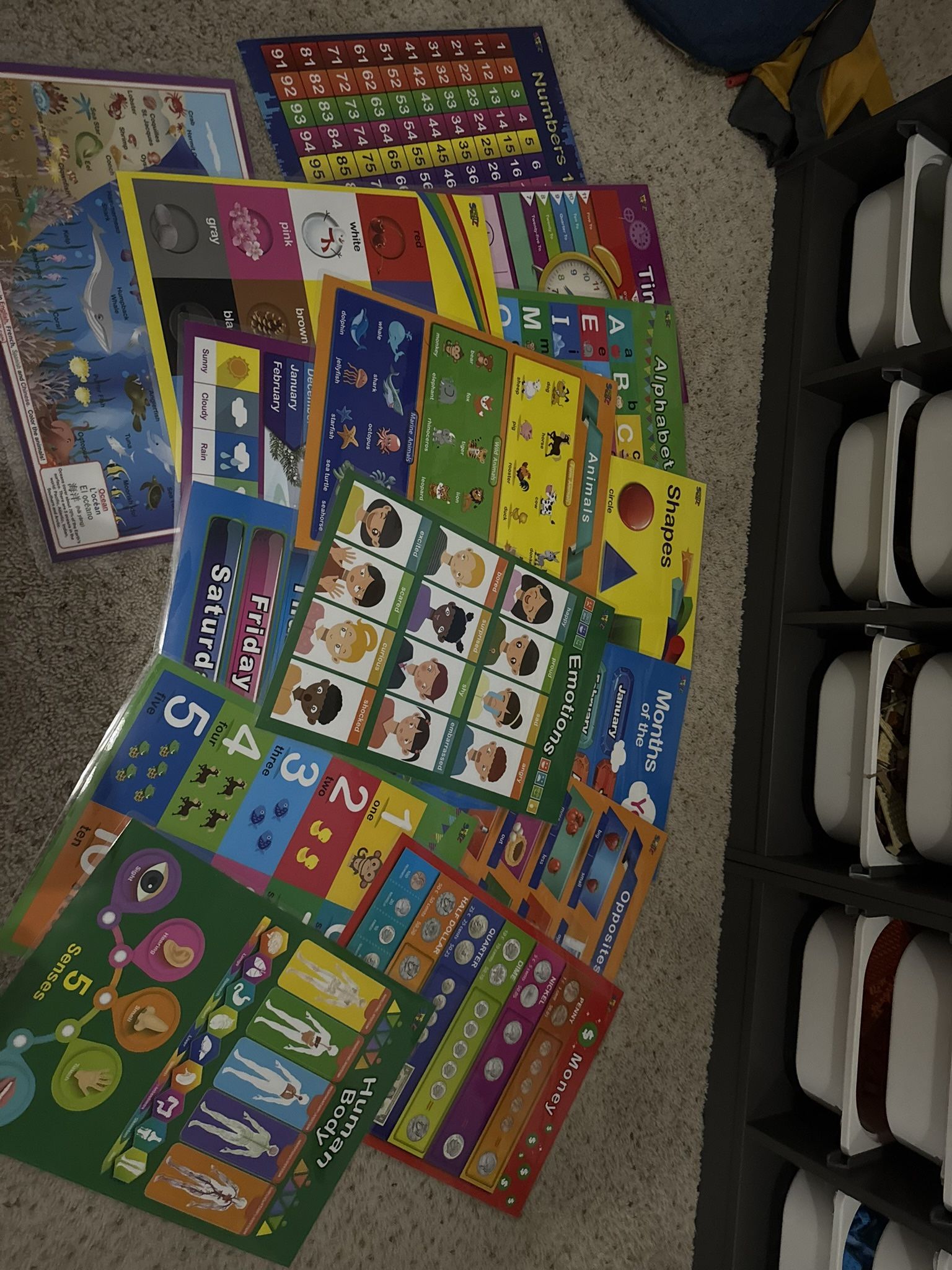 Educational Posters Teaching Learning