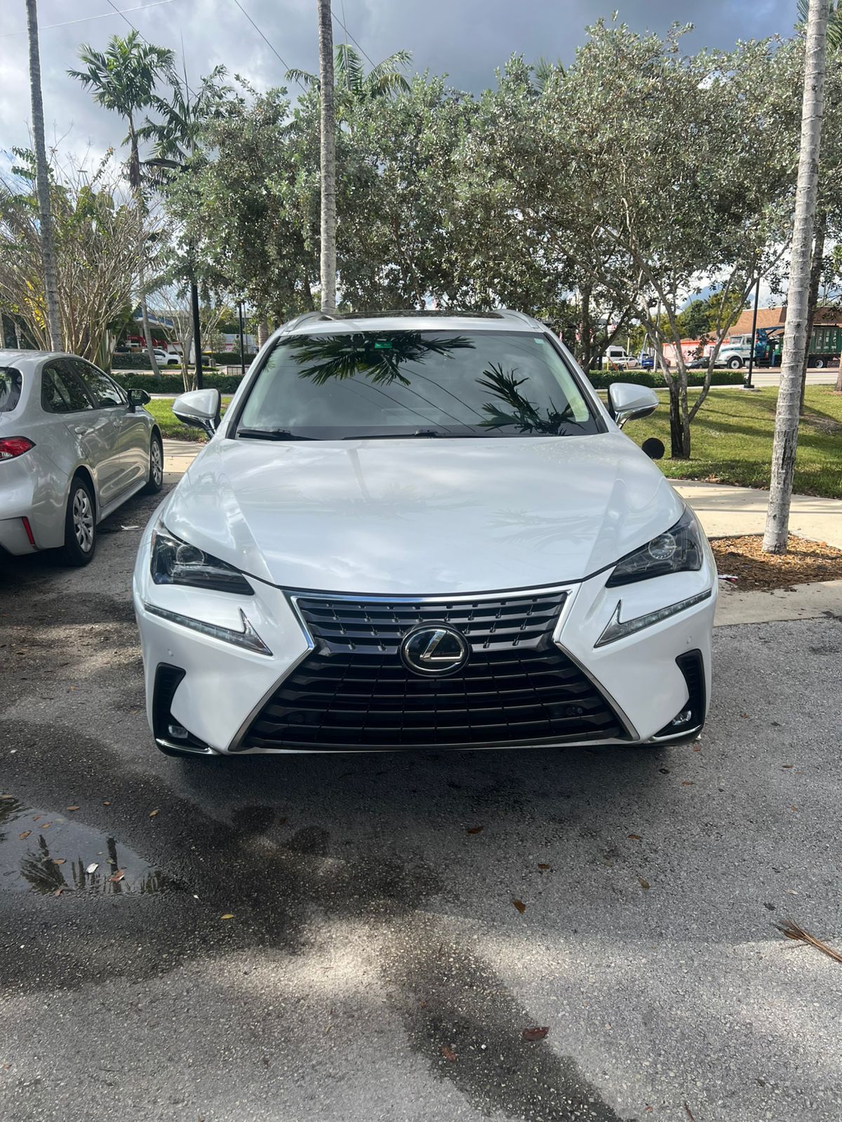 2021 Lexus NX 300