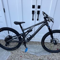 2022 Specialized Evo Stumpjumper