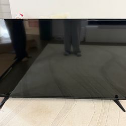 Insignia 65 inch tv