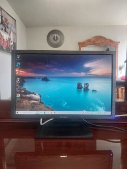 19"   DELL   Monitor