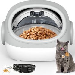 Cat Pet Feeder