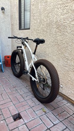 Fat bike