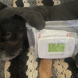 Brand New Never Used  Honeywell thermostat compatible with heating and cooling systems plus heating pumps