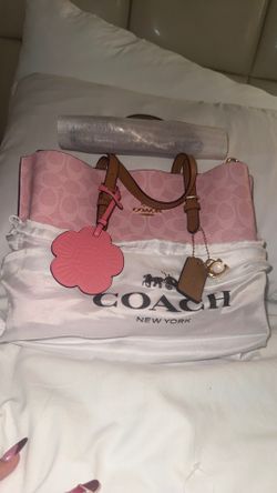 Mini Pink coach