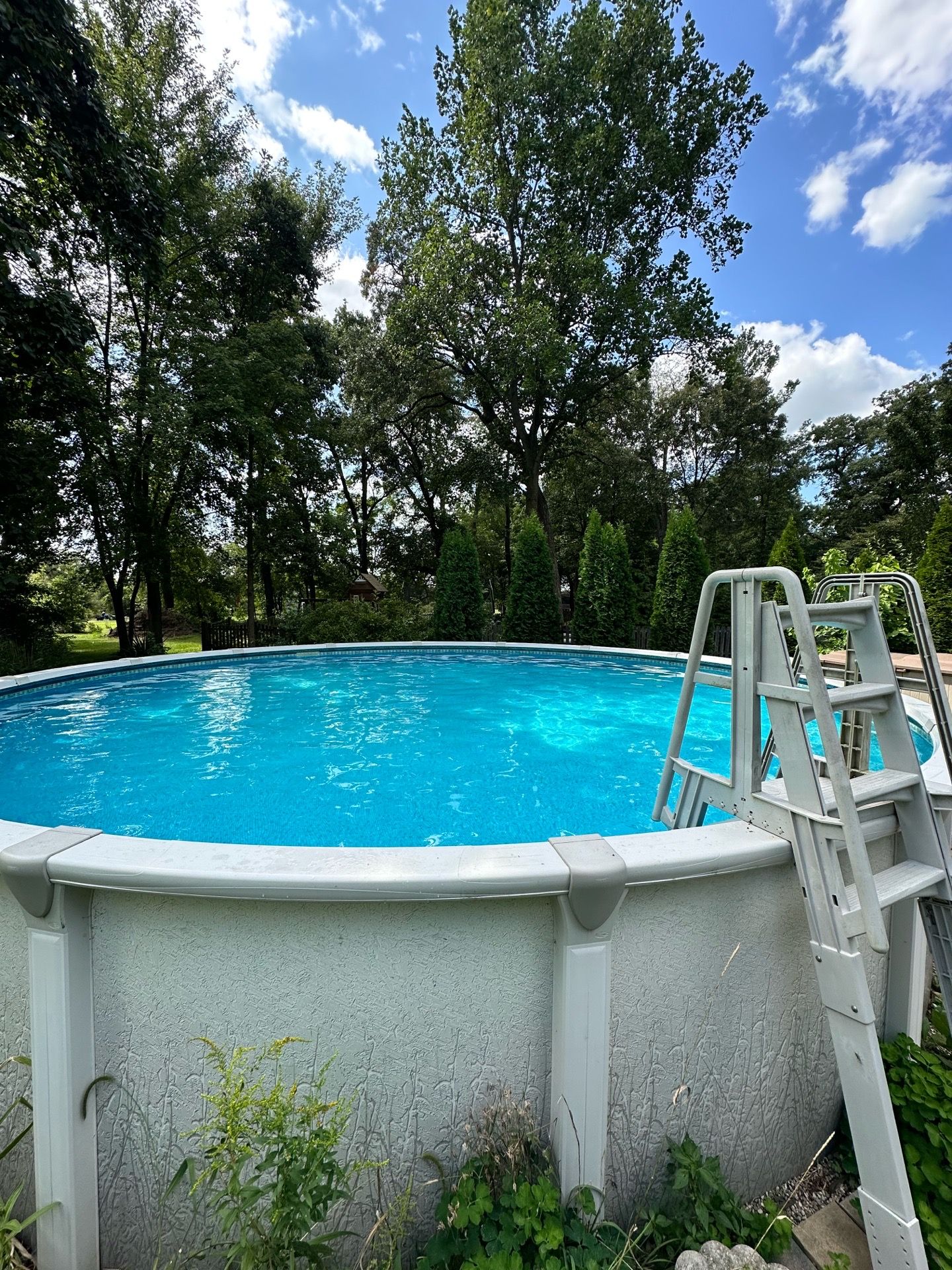 24’ x 54” Above Ground Pool w/filter and 2 Zodiac Vision Pro Above Ground Pool Chlorinators