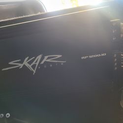 2 12" C4 speakers and skar amp