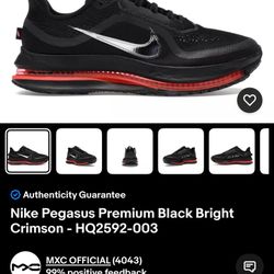 Nike Pegasus Premium 