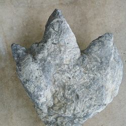 Three Toe Hardrosaur Foot Print Cast 