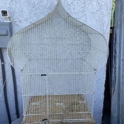 Bird Cage 