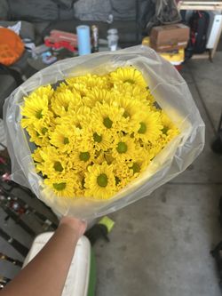FLOWER SALE